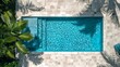 © antkevyv - Blue water in rectangular pool ceramic tile surround palm trees shadows on sunny day