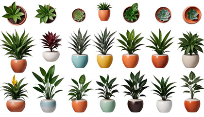 transparent collection background pots 3d plants ceramic rendering beautiful plant pot leaf tree flower nature isolated white houseplant potted growth botany flowerpot green beauty gardening garden