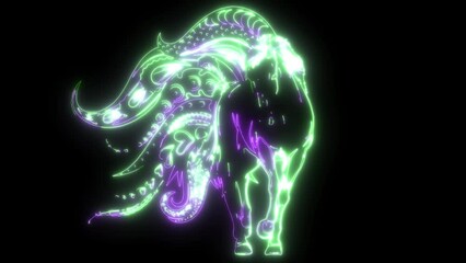 Sticker - video of horse with mandala