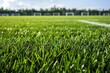 Close-up view of vibrant green grass on a soccer field.