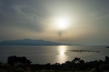 Sticker - the sun rising over the sea as seen from a hill with trees