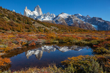 Wall Mural - Autumn on Fitz Roy