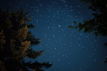 Wall Mural - A beautiful night sky with stars shining above trees. Perfect for nature or astronomy concepts