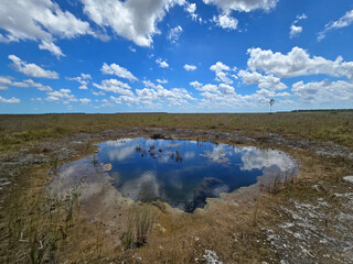 Wall Mural - Sunny summer cloudscape over solution hole in Everglades National Park, Florida reflected in calm water.