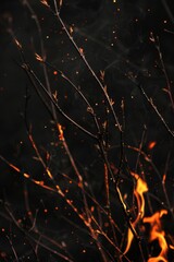 Aufkleber - A close up of a bush with fire in the background. Suitable for environmental and climate change concepts