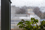 Fototapeta Zachód słońca - Rain drops on window glass close up background texture. View on rainy street, town from home