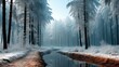 Beautiful scenery of a pathway in a forest with full of snow that falling from sky