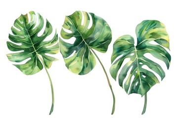 Poster - Vibrant watercolor painting of three tropical leaves. Perfect for tropical-themed designs