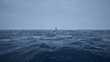 Sea buoy swings on the waves at storm