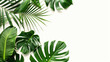 © Maria A - Beautiful Tropical Leaves on White Background - Isolated Monstera and Palm Leaves, Vibrant Tropical Foliage, Colorful Exotic