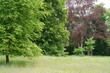 Der Lenné-Park im Ortsteil Dahlwitz von Hoppegarten in Brandenburg