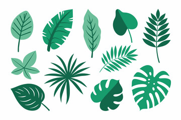 Wall Mural - Set of tropical Leaves Vectors design