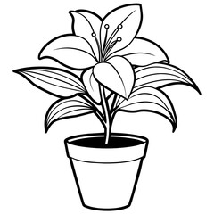 Lily flower outline coloring book page line art drawing vector illustration for children and adults