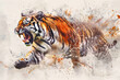 Tiger, Digital Drawing illustration.