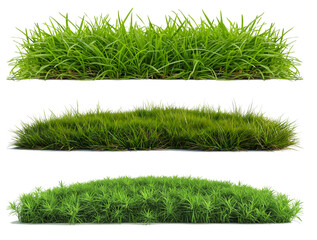 Wall Mural - green grass field collection isolated on transparent or white background