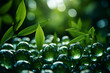 Blurred background nature, Bokeh green, abstract of nature defocus with sunlight.