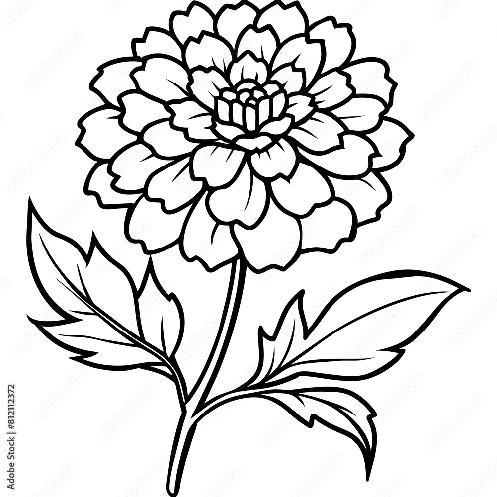 Marigold flower outline coloring book page line art drawing vector ...