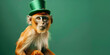 Cute monkey chimpanzee st Patrice's day isolated on green background