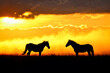 Majestic horses silhouette against a fiery sky—ideal for wall art, book covers, and inspirational content