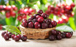 bowl of fresh cherries on wooden table in orchard garden