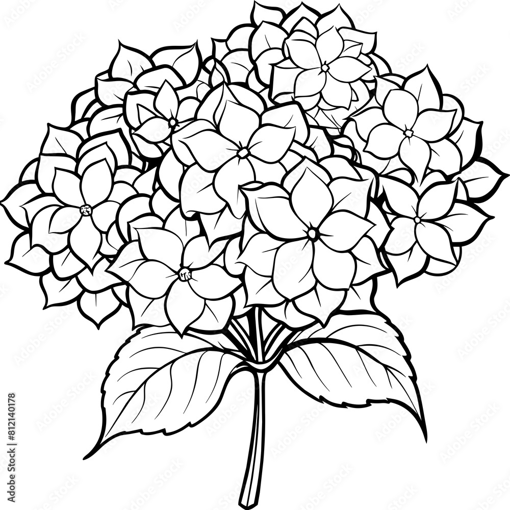Hydrangea flower outline coloring book page line art drawing vector ...