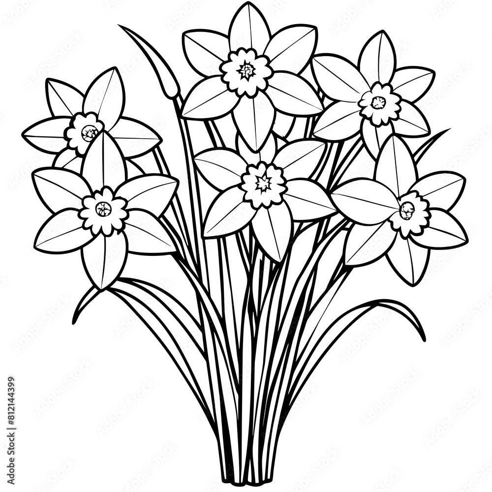 Daffodil flower outline coloring book page line art drawing vector ...