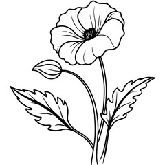 Poppy flower outline coloring book page line art drawing vector illustration for children and adults