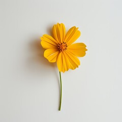 Wall Mural - flower on a light background.