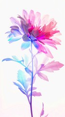 Wall Mural - flower on a light background.