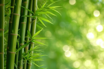 Wall Mural - Green Bamboo background. Forest zen jungle. Generate Ai