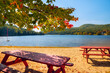 a wonderful place with tables and benches for a picnic on the shore of the lake on a sunny autumn day.