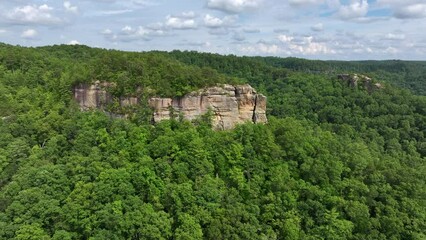 Wall Mural - aerial drone view over kentucky forest