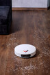 Robot vacuum cleaner vacuums the floor near the sofa. A smart home with automated devices that make life easier