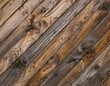 patch wood floor surface texture background