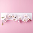 beautiful blooming white orchid (orchidaceae) branch isolated on pink table background, top view