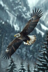 Wall Mural - A bald eagle soaring through the air with snow covered trees in background, AI