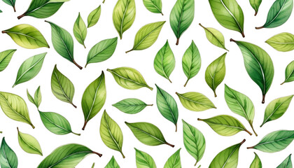 Wall Mural - hand watercolor branch style wrapping green paper design element tea background leaves drawn textile leaf closeup isolated tree natural white herbal concept symbol summer drawing abstract