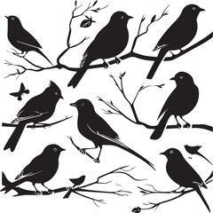 Wall Mural - set of birds