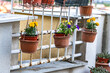 Urban herb gardening, small-space balcony oasis.
