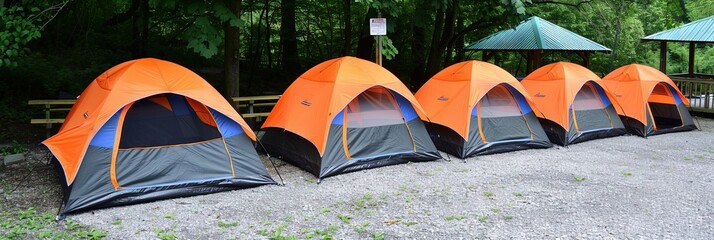 summer camp concept with tents