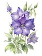 Bellflower Flower Watercolor Plant Nature Art
