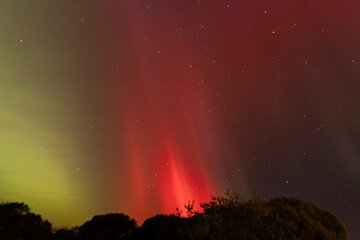 auroras of tassie