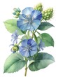 Bluebottle Flower Watercolor Plant Nature Art