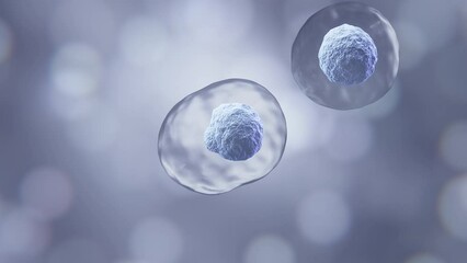 Wall Mural - 3d animation of human cell or embryonic stem cell microscope background.