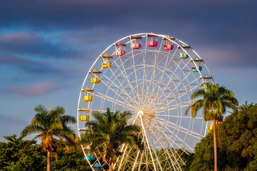 ferris wheel in the park