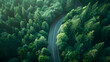 Top view of dark green forest landscape wallpaper art. Aerial nature scene of pine trees and asphalt road banner design