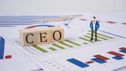 CEO - Chief Executive Officer word is made of wooden building blocks with economic graphic Business, economic concept, white background