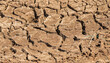 Cracked earth, Dried-up mud land, Drought surface texture.