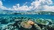 © Dragan - Above and below surface of the Caribbean sea with coral reef  underwater and a cloudy blue sky.