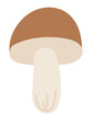 Forest mushroom in flat design. Autumn edible fungus with brown cap. Vector illustration isolated.